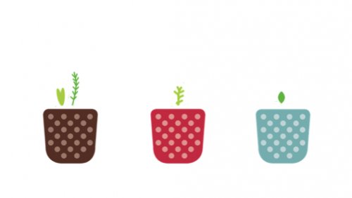 Three seedlings in plant pots